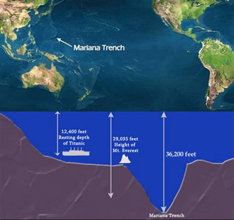 11000 meters|deepest trench in the world.